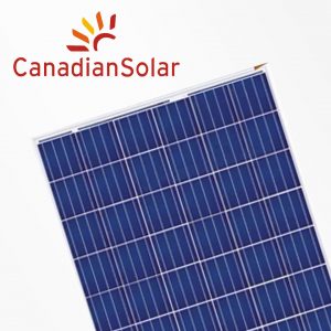 01-Canadian-300x300
