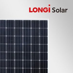 02-Longi-300x300