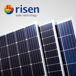 03-Risen-300x300